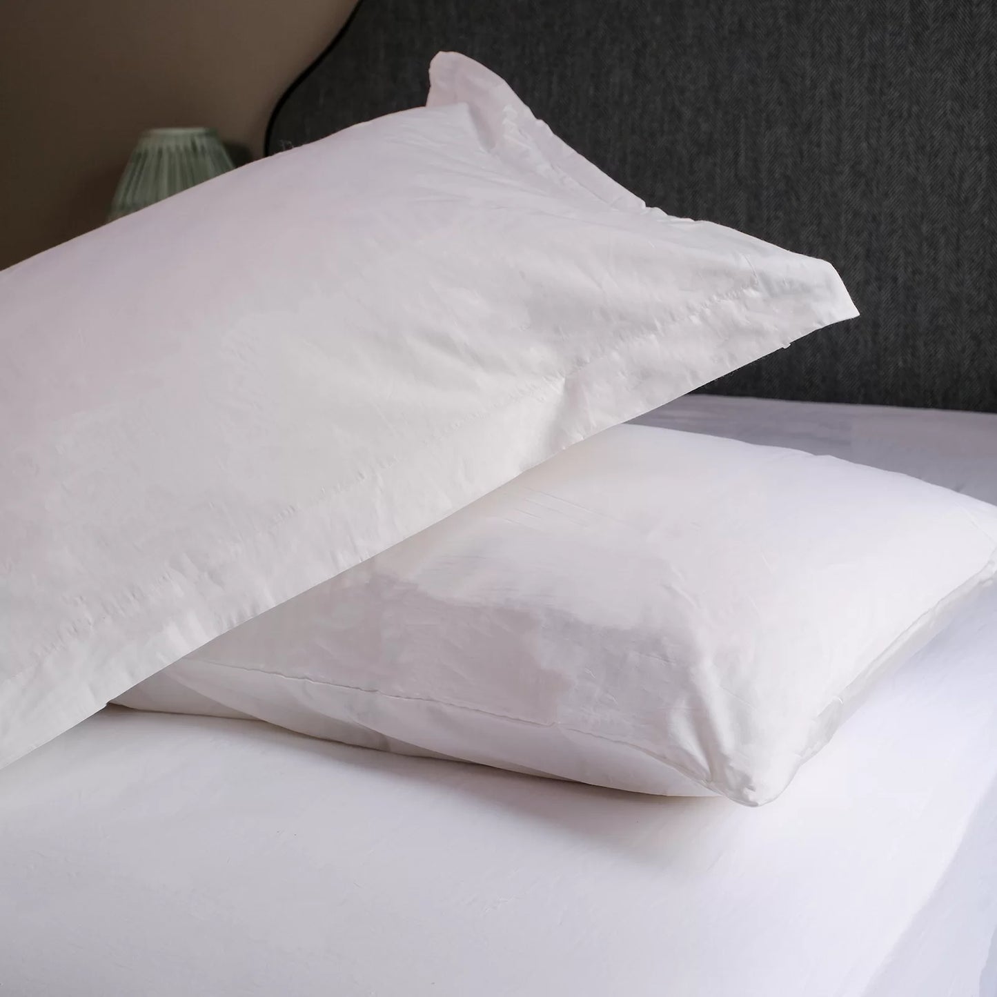 T200 Elegance Cotton Percale Fitted Sheet